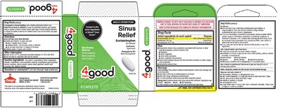 Pdp/package (63323 Caseys Sinus Relief Paint)